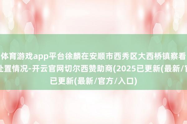 体育游戏app平台徐麟在安顺市西秀区大西桥镇察看垃圾堆存处置情况-开云官网切尔西赞助商(2025已更新(最新/官方/入口)