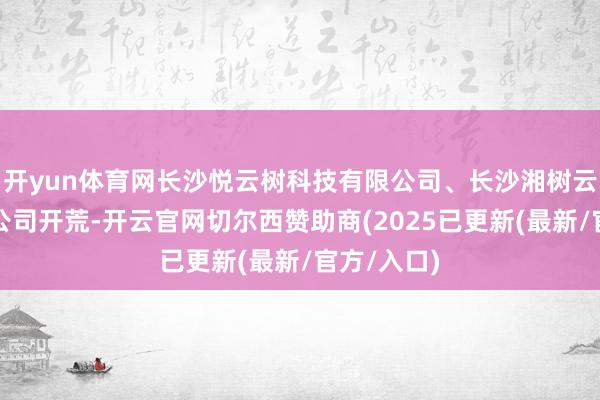 开yun体育网长沙悦云树科技有限公司、长沙湘树云科技有限公司开荒-开云官网切尔西赞助商(2025已更新(最新/官方/入口)
