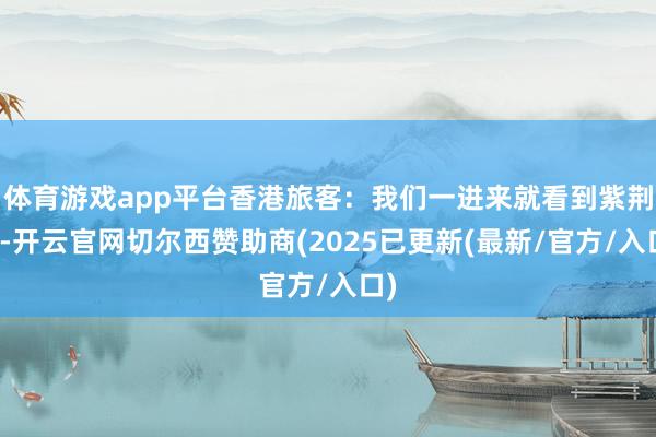体育游戏app平台香港旅客:我们一进来就看到紫荆花-开云官网切尔西赞助商(2025已更新(最新/官方/入口)