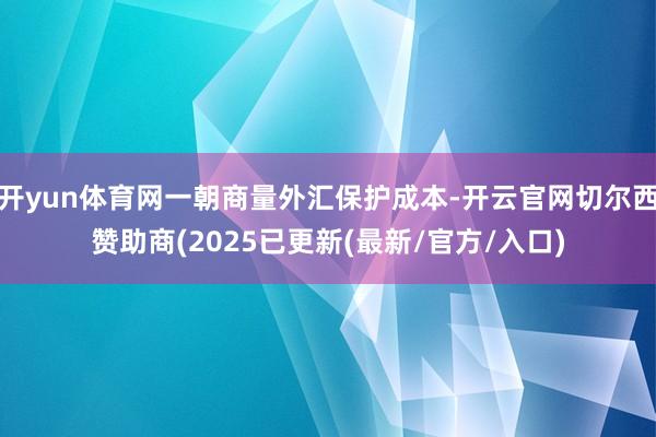 开yun体育网一朝商量外汇保护成本-开云官网切尔西赞助商(2025已更新(最新/官方/入口)