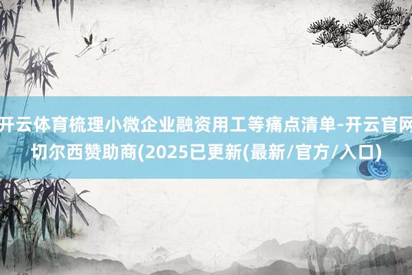 开云体育梳理小微企业融资用工等痛点清单-开云官网切尔西赞助商(2025已更新(最新/官方/入口)