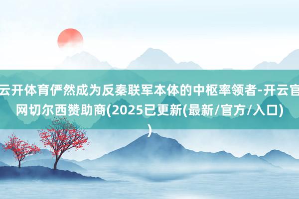 云开体育俨然成为反秦联军本体的中枢率领者-开云官网切尔西赞助商(2025已更新(最新/官方/入口)