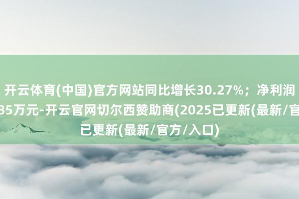 开云体育(中国)官方网站同比增长30.27%；净利润为7312.85万元-开云官网切尔西赞助商(2025已更新(最新/官方/入口)