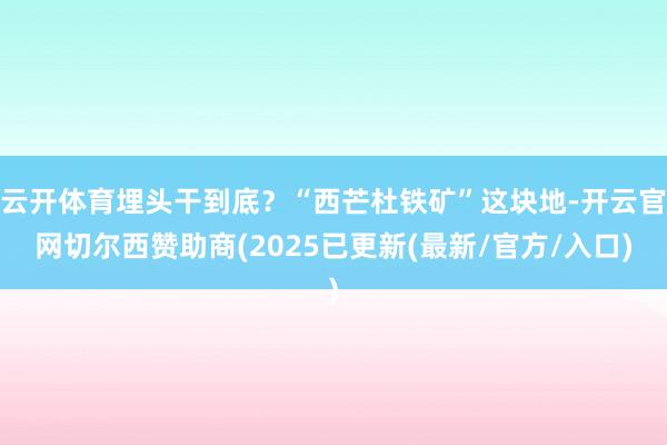 云开体育埋头干到底？“西芒杜铁矿”这块地-开云官网切尔西赞助商(2025已更新(最新/官方/入口)